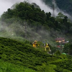 Darjeeling Gangtok