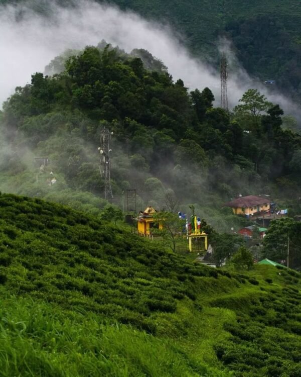 Darjeeling Gangtok