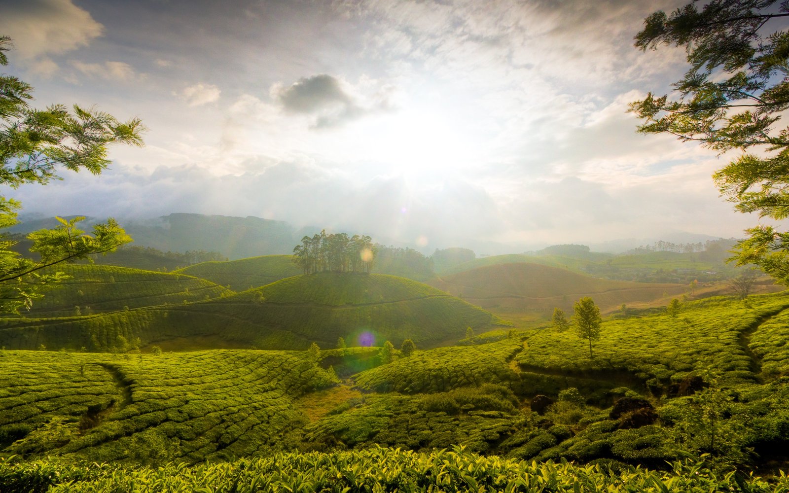 Kerala
